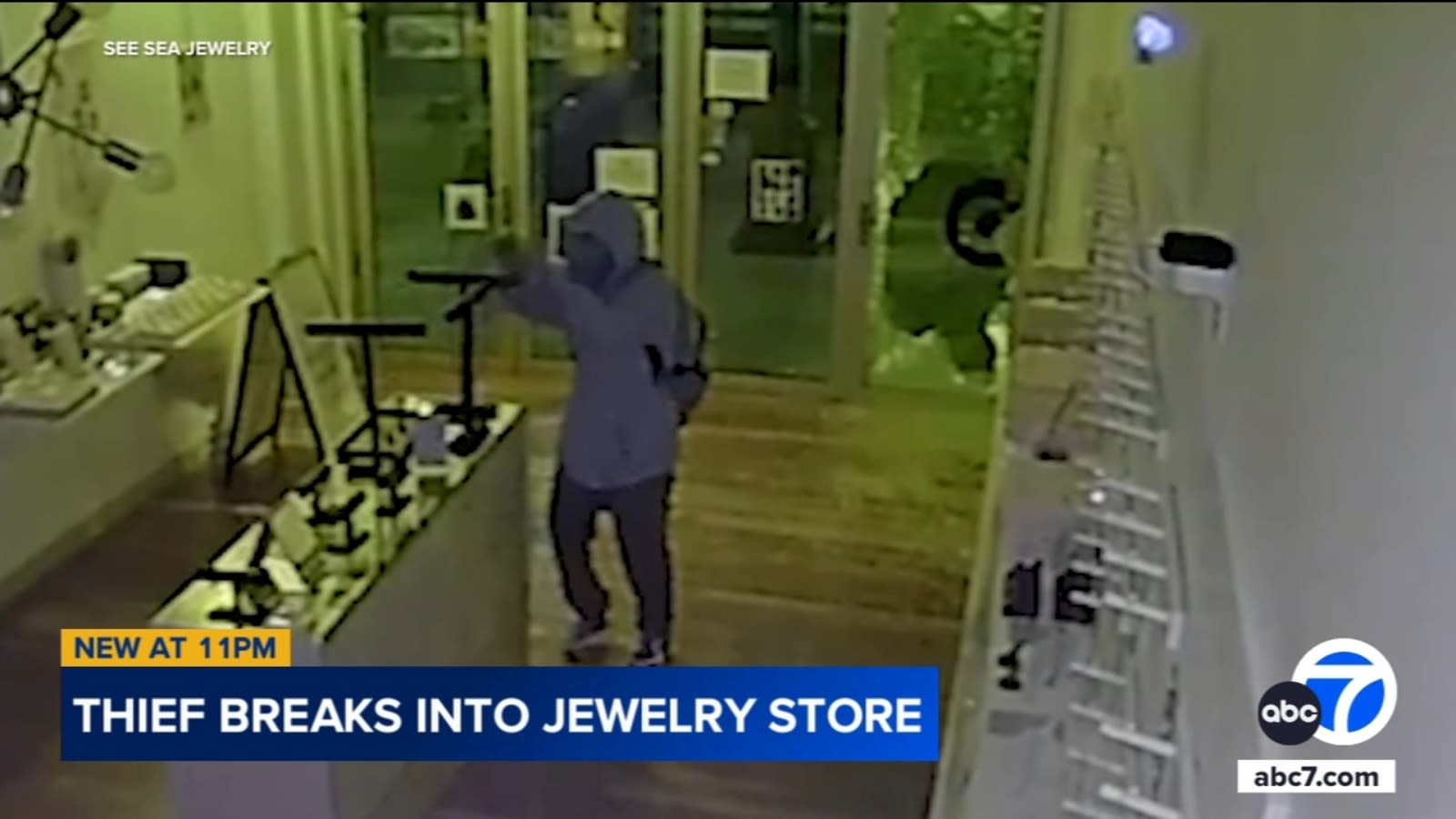 Video shows thief breaking into Santa Monica jewelry store, stealing about $4,000 worth of items