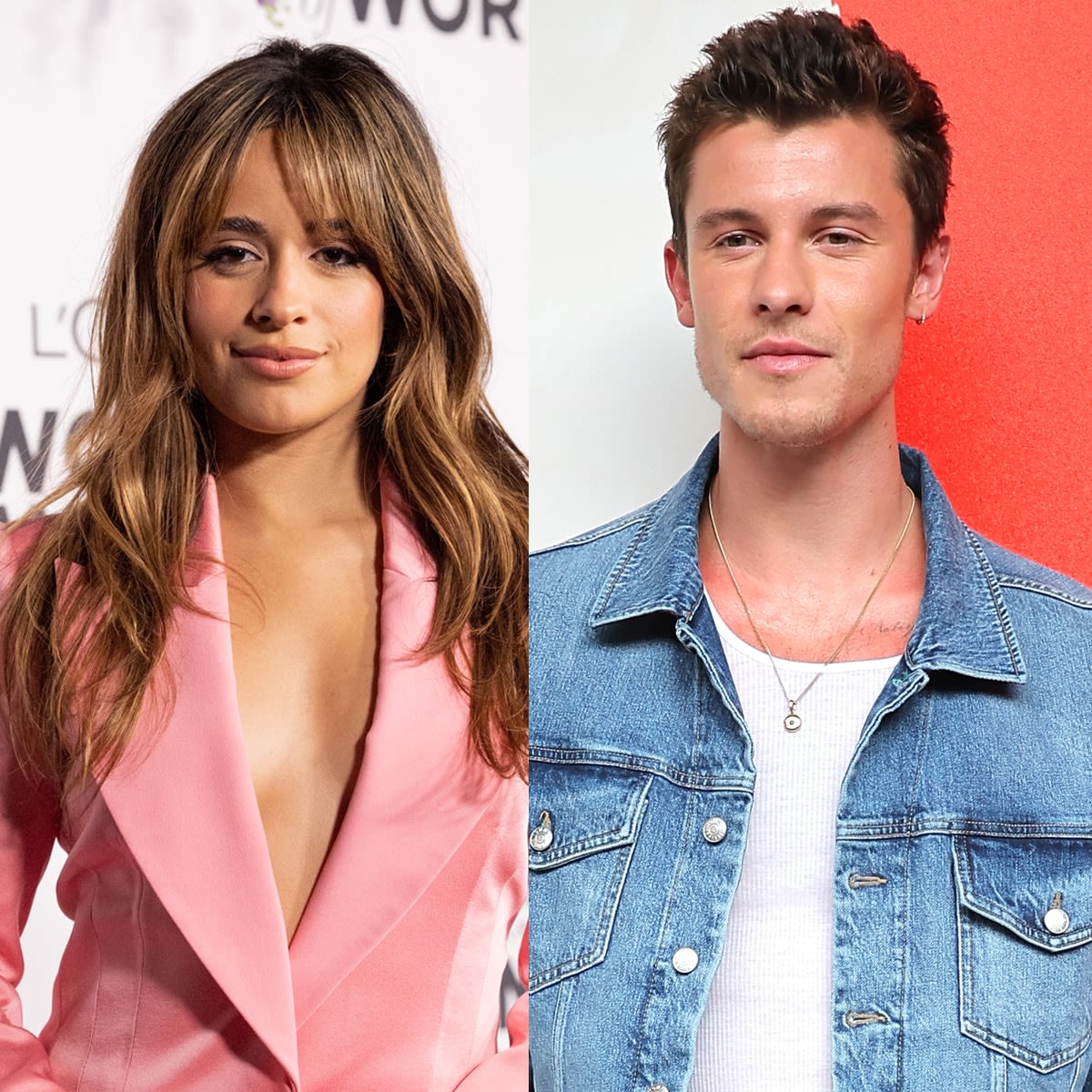 Exes Camila Cabello & Shawn Mendes Reunite at Copa America Final Match