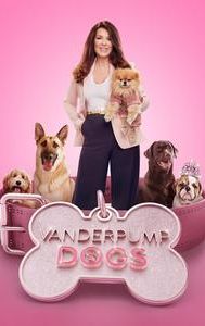 Vanderpump Dogs