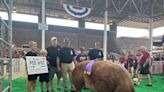 Meet the 2022 Iowa State Fair’s Big Ram, Big Boar and Super Bull winners