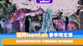 日本旅遊｜福岡teamLab春季限定展！置身漫天櫻花粉紅世界、手機捕捉動物、製作專屬圖鑑（附門票連結）