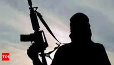 23 terror hits in J&K so far this year, down from 222 in 2014 | India News - Times of India