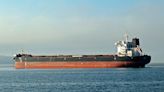 21 seamen from Houthi-hit vessel back; 1 still missing - BusinessWorld Online