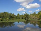 Washington Park Arboretum