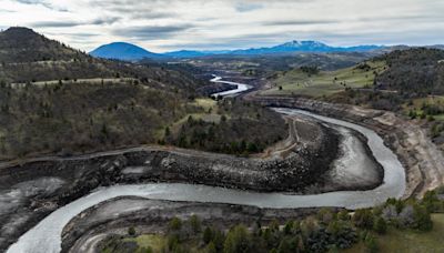 Klamath River dam removal brings hope for threatened salmon