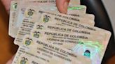 Licencia de conducción en Bogotá: ¿Qué hacer en caso de pérdida o robo?