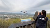 Owl released at Roanoke Star after a year of rehabilitation at wildlife center