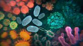 Scientists Raise Alarm About Threats to the Human Microbiome in New Documentary The Invisible Extinction