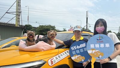 台中市推友善寵物計程車 提供飼主與毛小孩共乘 (圖)