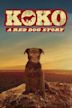 Koko: A Red Dog Story