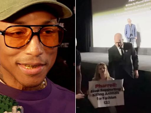 Así reaccionó Pharrell Williams a una protesta de PETA en el estreno de su película biográfica