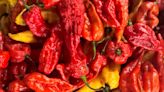 There's a New World Record for Most Ghost Peppers Eaten in a Minute
