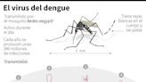 Guatemala declara emergencia nacional por epidemia de dengue