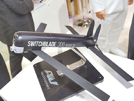 美媒曝 台灣向美求購自殺式無人機