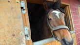 New stables and riding area plan for rural Ayrshire site