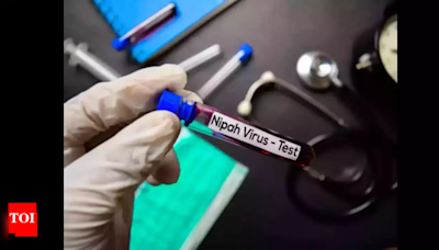 11 more contacts test negative; virus strain similar to that in 2023 Nipah outbreak in Kerela | Kozhikode News - Times of India