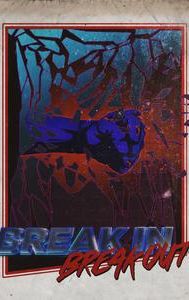 Break In Break Out
