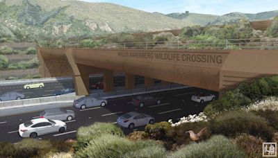 El cruce de vida silvestre en Agoura Hills podría abrir a principios de 2026, según Newsom
