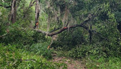 Some San Marcos natural areas closed due to storm damage