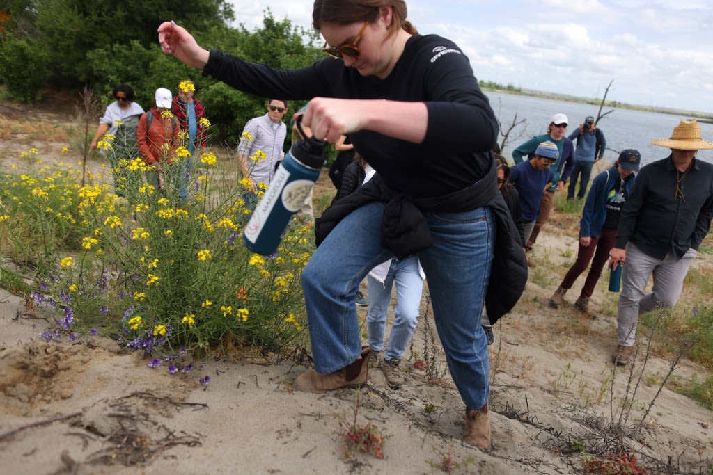 A unique Bay Area wildlife refuge is beginning to thrive again — but its most fascinating endangered species is still in peril