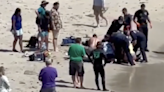 Dramatic footage shows California teacher being dragged to shore after shark attack