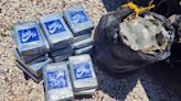 Scuba divers find 25 kilos of suspected cocaine in the Florida Keys
