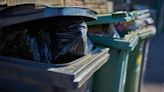 Armagh council 'facing fortnight of bin strikes'