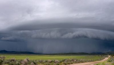 Tornado watches issued for large swath of Alberta | News