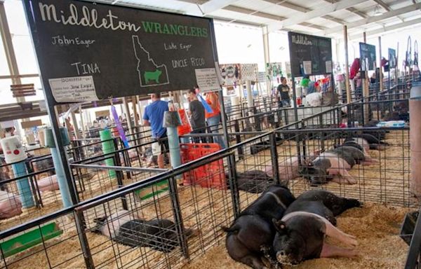 Canyon County Fair gets going in Caldwell