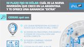 Ni plazo fijo ni dólar: cuál es la nueva inversión que crece en la Argentina y te ofrece una ganancia "extra"