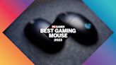 PC Gamer Hardware Awards: The best gaming mouse of 2023