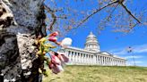 Where are Utah Capitol's cherry blossoms? Long winter delays popular display