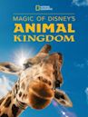 Magic of Disney's Animal Kingdom