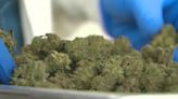NH Senate amends marijuana legalization bill to be more in line with Sununu's priorities
