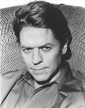 Robert Palmer