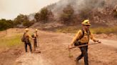 Wildfires and the harm they bring can be minimized