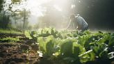 ¿Puede el cambio climático cambiar los sabores y la forma en que se alimentará la humanidad?