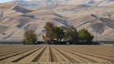 Charging California farmers for groundwater use could yield massive conservation gains, researchers find