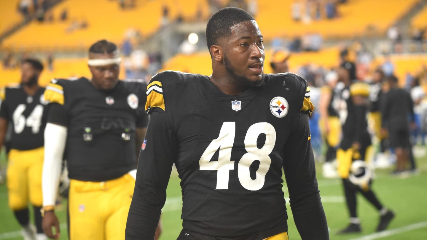 Ravens Sign Former Steelers LB