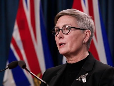 Mary Ellen Turpel-Lafond says a DNA test backs her ancestry claims. CBC asked experts to weigh in | CBC News