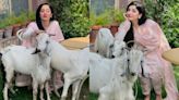 'Will You Eat It?: Pak Actress Mawra Hocane TROLLED By Indian Influencer As She Pets Her 'Angels' On Bakri Eid 2024