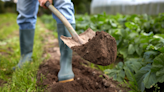 Gardening jobs for February: 10 tasks that will prepare and protect your outside space