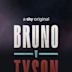 Bruno v Tyson