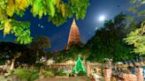 Satellite Images Indicate Huge Architectural Wealth Under Iconic Bodh Gaya Temple