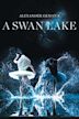 A Swan Lake