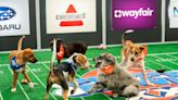 Puppy Bowl 2024 lineup: Who are the contestants?