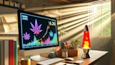 Cannabis Reports Highlight $339M And $297.6M Revenue Insights In Curaleaf And Trulieve's Q1 2024 Financials - Curaleaf Holdings (OTC...