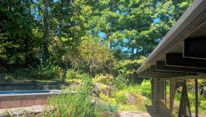 Get Growing with Mickey Rathbun: Time for a garden makeover: Seek help from professionals to see the big picture