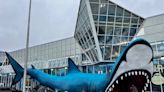 Giant sharks in Myrtle Beach. How one man started the building frenzy that you see today