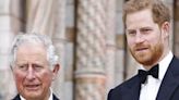 Prince Harry snubbed meeting with King Charles 'over security fears'